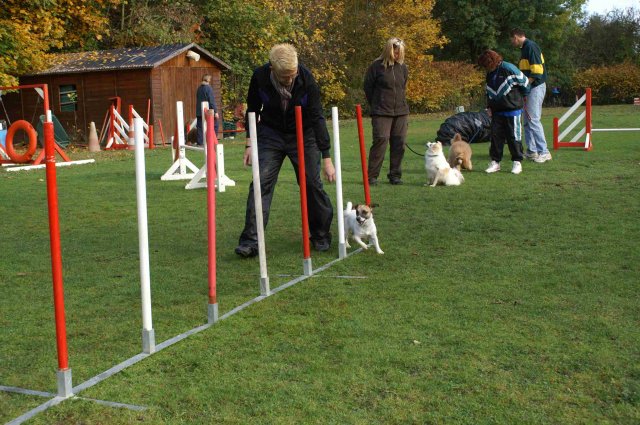 agility 2011-10-30